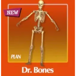 Plan: Dr Bones