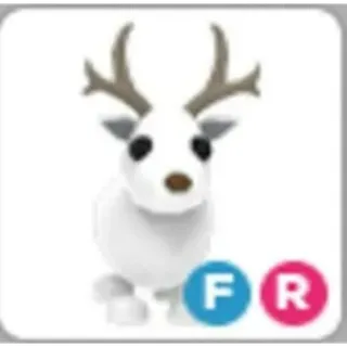 FR Arctic Reindeer
