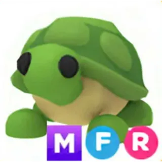 MFR Turtle - Adopt Me