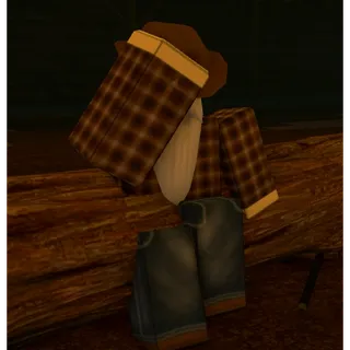 D4C - Bridger: Western