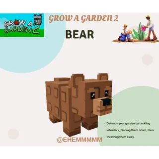 Bear