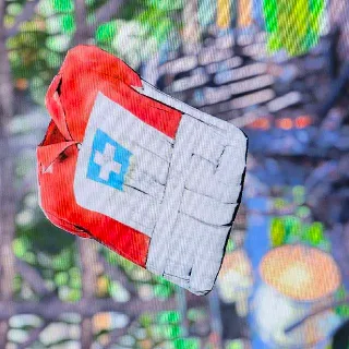 Asylum Worker Red Dress