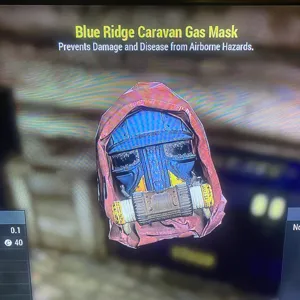 Blueridge caravan mask