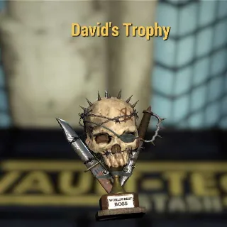 David's Trophy