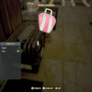 Hidden Valuables