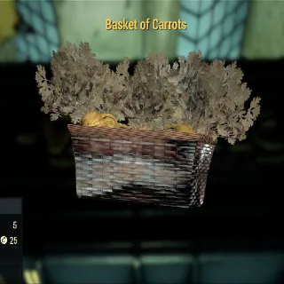 Basket Of Carrots