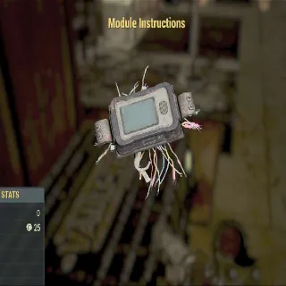 Module Instructions