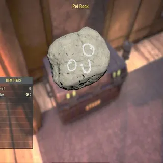 Pet Rock