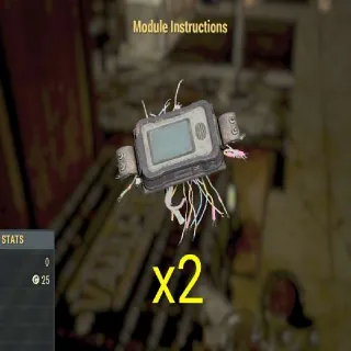 2x Module Instructions