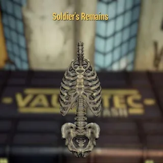 Soldiers Remains (Read Disc