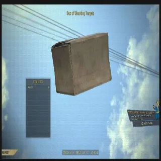 Box Of Shooting Targets