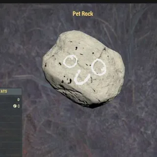 Pet Rock (Displayable Misc)