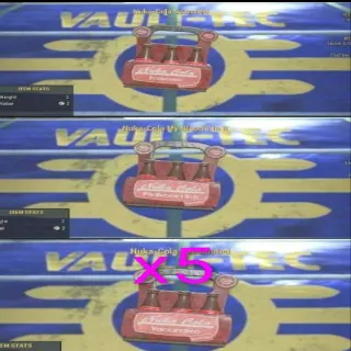 5x Nuka-Cola 6 Pack Set