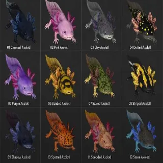 Full Axolotl Set (All 12)