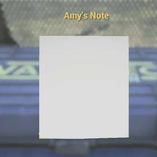 Amy's Note