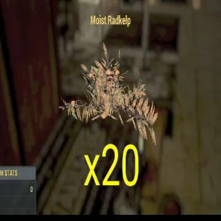 20x Moist Radkelp