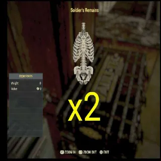2x Soldiers Remains