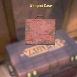 Weapon Case