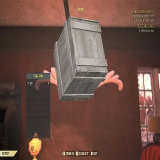 Cargo