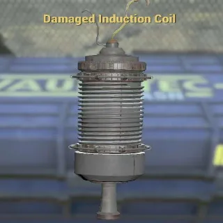 Damaged Induction Coil