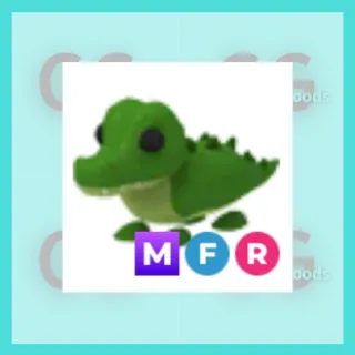 MFR Crocodile