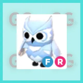 FR Snow Owl