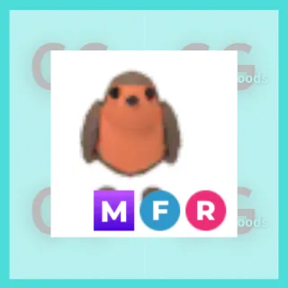 MFR Robin