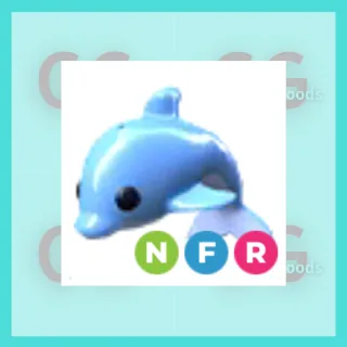 NFR Dolphin