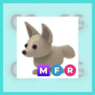 MFR Fennec Fox