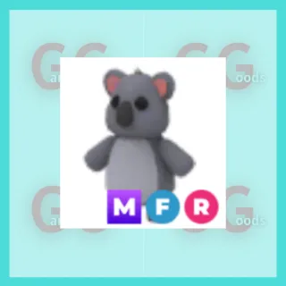 MFR Koala