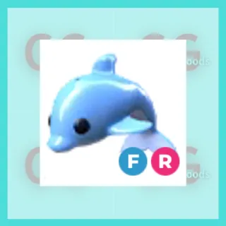 FR Dolphin