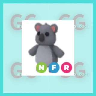 NFR Koala