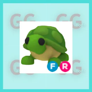 FR Turtle