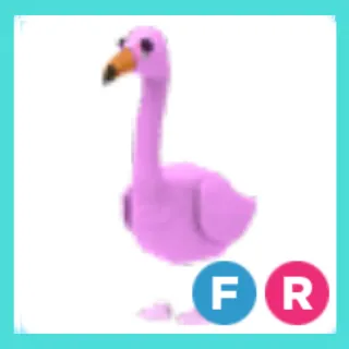 FR Flamingo
