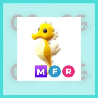 MFR Seahorse