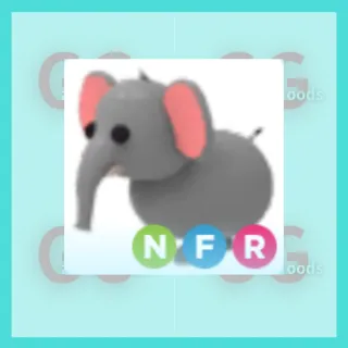 NFR Elephant