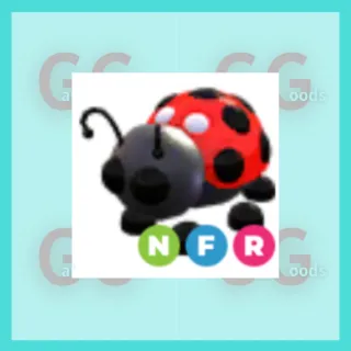 NFR Ladybird