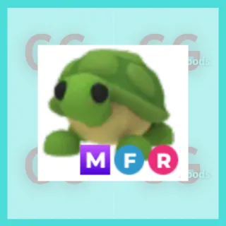 MFR Turtle