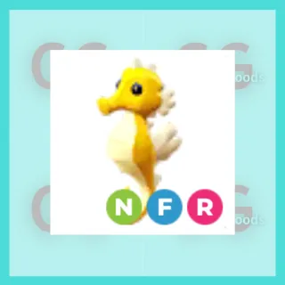 NFR Seahorse