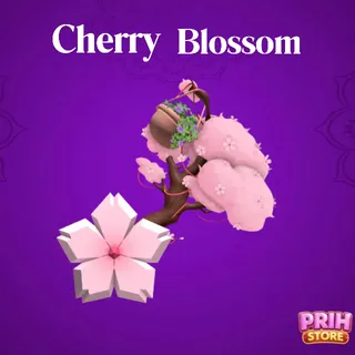 ✨ Cherry Blossom Set - FLEE THE FACILITY ✨
