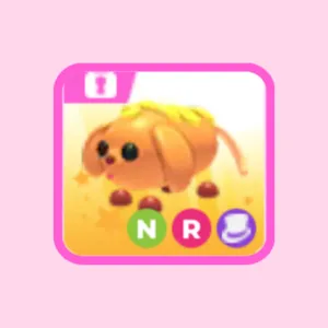 NR Corn Doggo