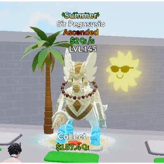 Summer Sir Pegasusio