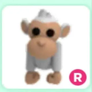 Ridable Albino Monkey