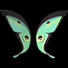 Jade Moth Wings