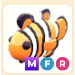 Mega Fly Ride Clownfish