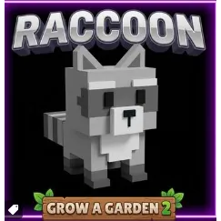 Raccoon - GAG2