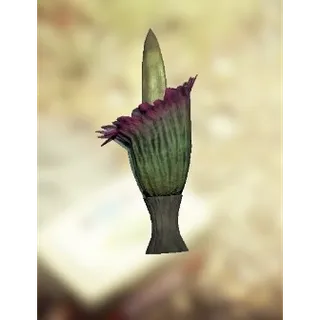 Strange plant misc item