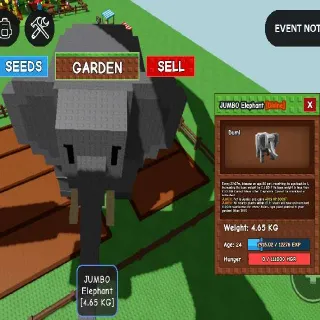 JUMBO ELEPHANT - ARGO