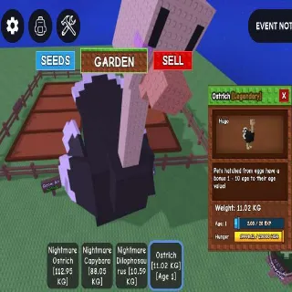 11.02 KG!! AGE 1 COLOSSAL GODLY OSTRICH (110.20 KG IF AGE 100) ARGO