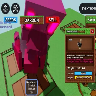 113.91 KG!! COLOSSAL GODLY OSTRICH AGE 100 💯 (SUPER RARE!)